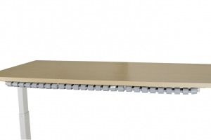 Inside page-Vertebrae-Horizontal Cover Page